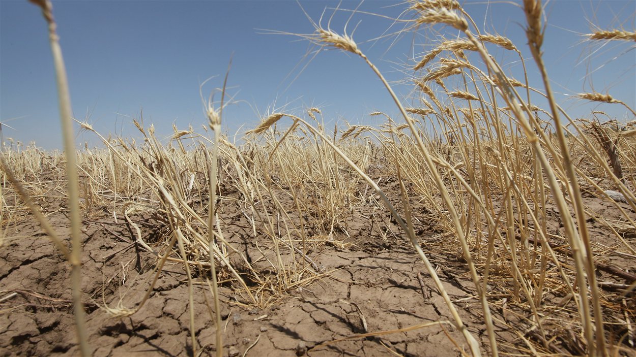 La sécheresse s’abat sur la France et touche la Belgique : il est urgent de protéger l’eau, ce bien commun
